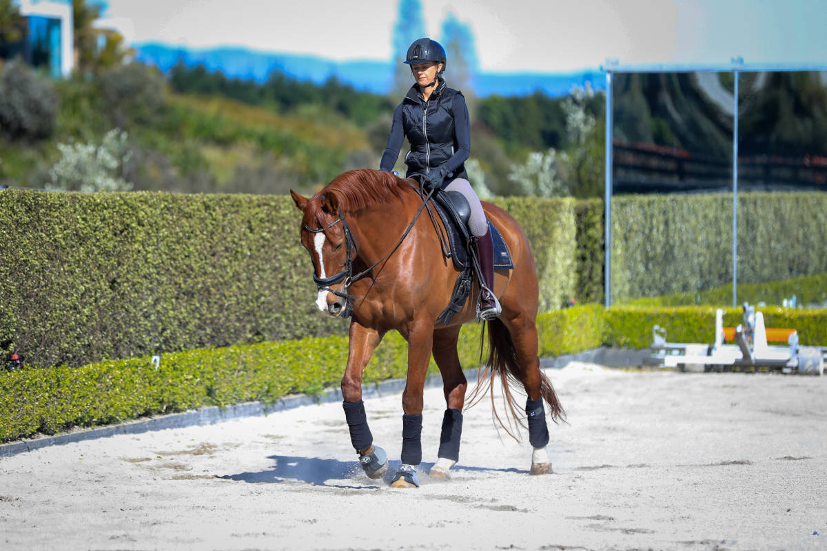 Rider fitness training