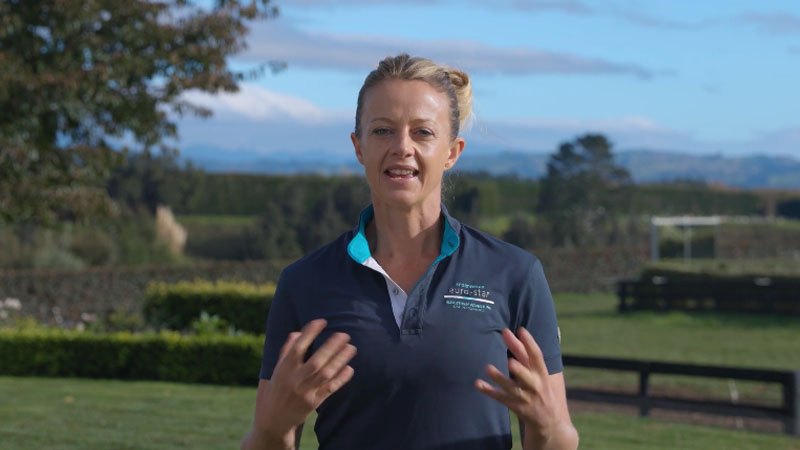 Dressage rider training