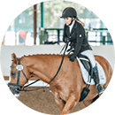 Shawn Maurice, dressage rider